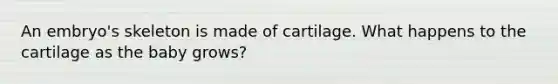 An embryo's skeleton is made of cartilage. What happens to the cartilage as the baby grows?