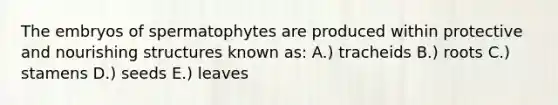 The embryos of spermatophytes are produced within protective and nourishing structures known as: A.) tracheids B.) roots C.) stamens D.) seeds E.) leaves