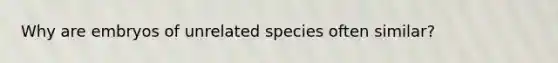 Why are embryos of unrelated species often similar?