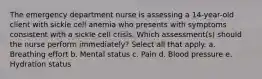 The emergency department nurse is assessing a 14-year-old client with sickle cell anemia who presents with symptoms consistent with a sickle cell crisis. Which assessment(s) should the nurse perform immediately? Select all that apply. a. Breathing effort b. Mental status c. Pain d. Blood pressure e. Hydration status