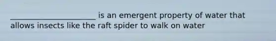 ______________________ is an emergent property of water that allows insects like the raft spider to walk on water