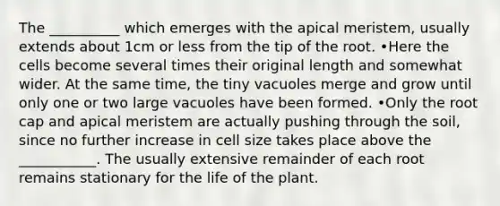 The __________ which emerges with the apical meristem, usually extends about 1cm or less from the tip of the root. •Here the cells become several times their original length and somewhat wider. At the same time, the tiny vacuoles merge and grow until only one or two large vacuoles have been formed. •Only the root cap and apical meristem are actually pushing through the soil, since no further increase in cell size takes place above the ___________. The usually extensive remainder of each root remains stationary for the life of the plant.