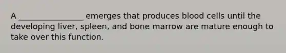 A ________________ emerges that produces blood cells until the developing liver, spleen, and bone marrow are mature enough to take over this function.