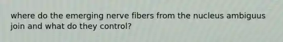 where do the emerging nerve fibers from the nucleus ambiguus join and what do they control?