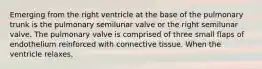 Emerging from the right ventricle at the base of the pulmonary trunk is the pulmonary semilunar valve or the right semilunar valve. The pulmonary valve is comprised of three small flaps of endothelium reinforced with connective tissue. When the ventricle relaxes,