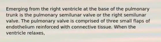 Emerging from the right ventricle at the base of the pulmonary trunk is the pulmonary semilunar valve or the right semilunar valve. The pulmonary valve is comprised of three small flaps of endothelium reinforced with connective tissue. When the ventricle relaxes,