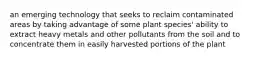 an emerging technology that seeks to reclaim contaminated areas by taking advantage of some plant species' ability to extract heavy metals and other pollutants from the soil and to concentrate them in easily harvested portions of the plant