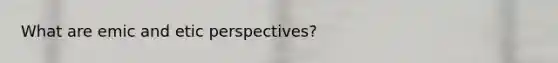 What are emic and etic perspectives?