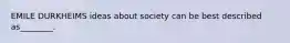 EMILE DURKHEIMS ideas about society can be best described as________.