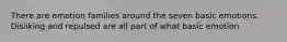 There are emotion families around the seven basic emotions. Disliking and repulsed are all part of what basic emotion