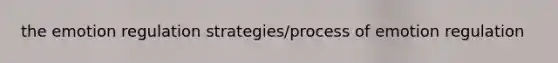 the emotion regulation strategies/process of emotion regulation