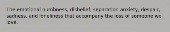 The emotional numbness, disbelief, separation anxiety, despair, sadness, and loneliness that accompany the loss of someone we love.