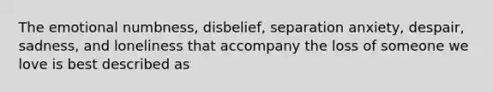 The emotional numbness, disbelief, separation anxiety, despair, sadness, and loneliness that accompany the loss of someone we love is best described as