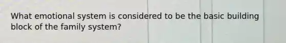What emotional system is considered to be the basic building block of the family system?