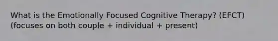 What is the Emotionally Focused Cognitive Therapy? (EFCT) (focuses on both couple + individual + present)