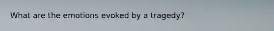 What are the emotions evoked by a tragedy?