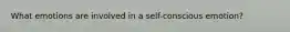 What emotions are involved in a self-conscious emotion?
