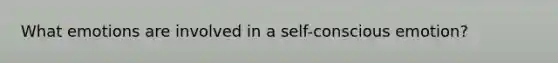 What emotions are involved in a self-conscious emotion?