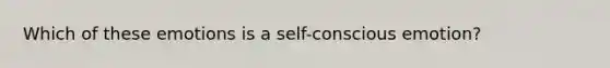 Which of these emotions is a self-conscious emotion?