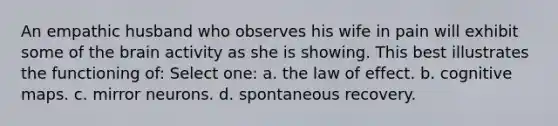 An empathic husband who observes his wife in pain will exhibit some of the brain activity as she is showing. This best illustrates the functioning of: Select one: a. the law of effect. b. cognitive maps. c. mirror neurons. d. spontaneous recovery.