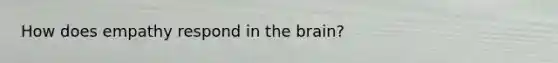 How does empathy respond in the brain?