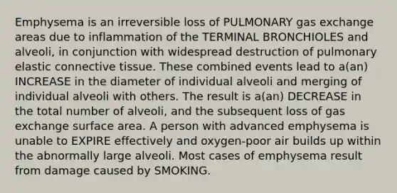 Emphysema is an irreversible loss of PULMONARY <a href='https://www.questionai.com/knowledge/kU8LNOksTA-gas-exchange' class='anchor-knowledge'>gas exchange</a> areas due to inflammation of the TERMINAL BRONCHIOLES and alveoli, in conjunction with widespread destruction of pulmonary elastic <a href='https://www.questionai.com/knowledge/kYDr0DHyc8-connective-tissue' class='anchor-knowledge'>connective tissue</a>. These combined events lead to a(an) INCREASE in the diameter of individual alveoli and merging of individual alveoli with others. The result is a(an) DECREASE in the total number of alveoli, and the subsequent loss of gas exchange surface area. A person with advanced emphysema is unable to EXPIRE effectively and oxygen-poor air builds up within the abnormally large alveoli. Most cases of emphysema result from damage caused by SMOKING.