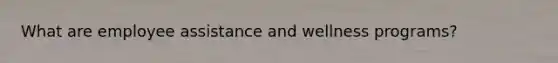 What are employee assistance and wellness programs?