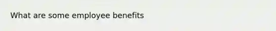 What are some employee benefits