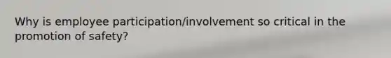 Why is employee participation/involvement so critical in the promotion of safety?