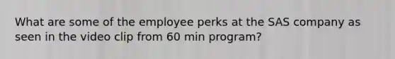 What are some of the employee perks at the SAS company as seen in the video clip from 60 min program?