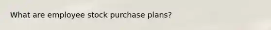 What are employee stock purchase plans?