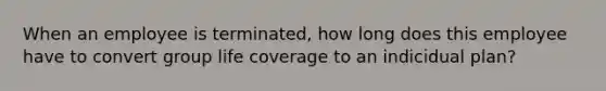 When an employee is terminated, how long does this employee have to convert group life coverage to an indicidual plan?