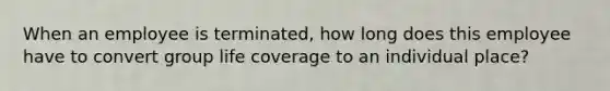 When an employee is terminated, how long does this employee have to convert group life coverage to an individual place?