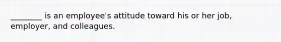 ________ is an employee's attitude toward his or her job, employer, and colleagues.