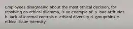 Employees disagreeing about the most ethical decision, for resolving an ethical dilemma, is an example of: a. bad attitudes b. lack of internal controls c. ethical diversity d. groupthink e. ethical issue intensity