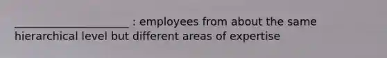 _____________________ : employees from about the same hierarchical level but different areas of expertise