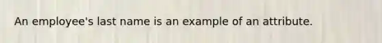 An employee's last name is an example of an attribute.