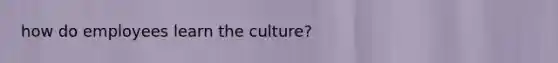 how do employees learn the culture?