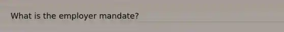 What is the employer mandate?