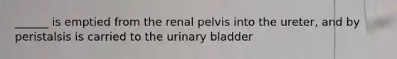 ______ is emptied from the renal pelvis into the ureter, and by peristalsis is carried to the urinary bladder