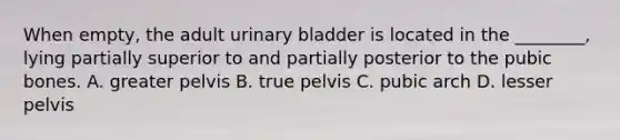 When empty, the adult urinary bladder is located in the ________, lying partially superior to and partially posterior to the pubic bones. A. greater pelvis B. true pelvis C. pubic arch D. lesser pelvis