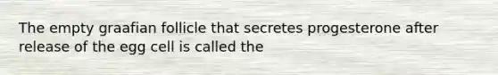 The empty graafian follicle that secretes progesterone after release of the egg cell is called the