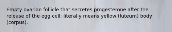 Empty ovarian follicle that secretes progesterone after the release of the egg cell; literally means yellow (luteum) body (corpus).