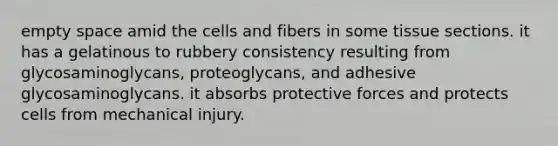 empty space amid the cells and fibers in some tissue sections. it has a gelatinous to rubbery consistency resulting from glycosaminoglycans, proteoglycans, and adhesive glycosaminoglycans. it absorbs protective forces and protects cells from mechanical injury.