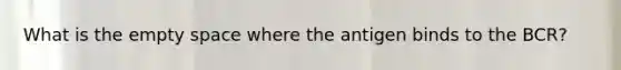 What is the empty space where the antigen binds to the BCR?