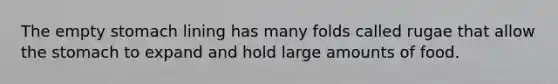 The empty stomach lining has many folds called rugae that allow the stomach to expand and hold large amounts of food.
