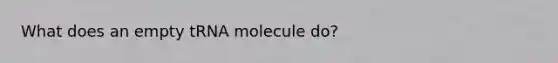 What does an empty tRNA molecule do?