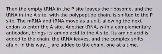 Then the empty tRNA in the P site leaves the ribosome, and the tRNA in the A site, with the polypeptide chain, is shifted to the P site. The mRNA and tRNA move as a unit, allowing the next codon to enter the A site. Another tRNA, with a complementary anticodon, brings its amino acid to the A site. Its amino acid is added to the chain, the tRNA leaves, and the complex shifts afain. In this way, _ are added to the chain, one at a time.