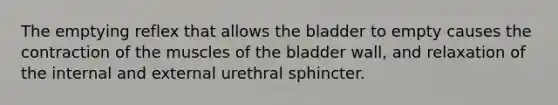 The emptying reflex that allows the bladder to empty causes the contraction of the muscles of the bladder wall, and relaxation of the internal and external urethral sphincter.