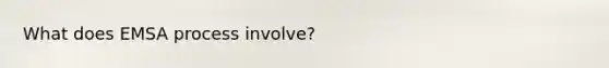 What does EMSA process involve?